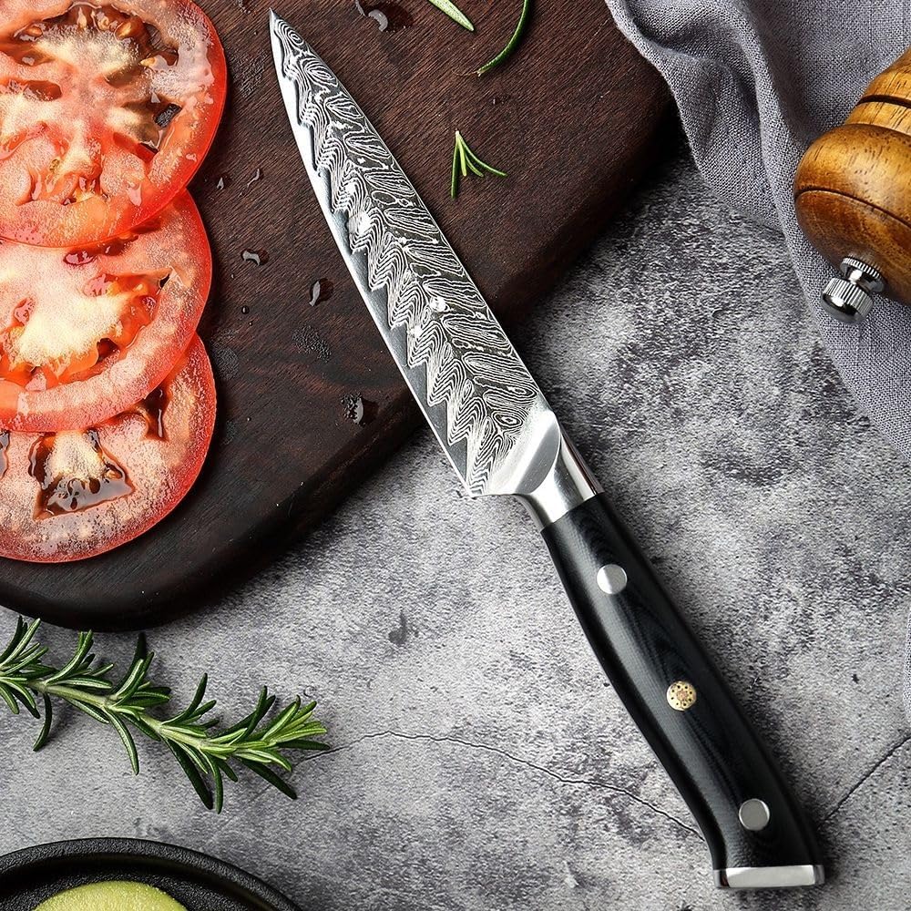 Daichi (だいち) Damascus VG10 Steel Kitchen Knives Set